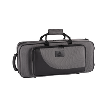 Load image into Gallery viewer, Sailors AS-200 Alto Saxophone