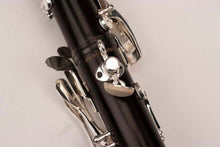 將圖片載入圖庫檢視器 RZ Professional Series ALLEGRO Clarinet