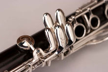 將圖片載入圖庫檢視器 RZ Professional Series ALLEGRO Clarinet