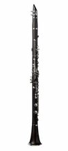 將圖片載入圖庫檢視器 RZ in G Clarinet