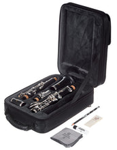 Load image into Gallery viewer, Buffet Crampon Clarinet 2541 "Prodige"
