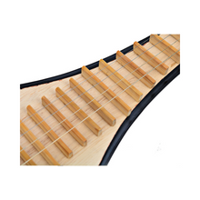 Load image into Gallery viewer, Xinghai Brand Hardwood Liuqin 8411R