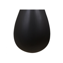 Load image into Gallery viewer, Xinghai Brand Hardwood Pipa 8911R