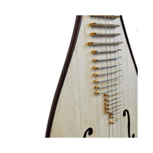 Load image into Gallery viewer, Feng Yunhuasheng redwood practice Liuqin