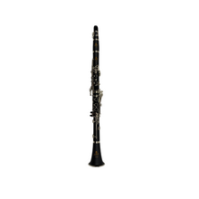 Load image into Gallery viewer, Sumach Clarinet SCL-420