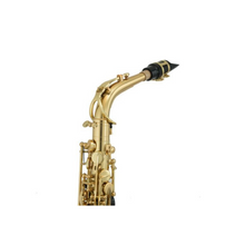 Load image into Gallery viewer, Trevor James Alto Horn Classic