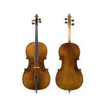 將圖片載入圖庫檢視器 詩門實木初階大提琴 VC-2302
