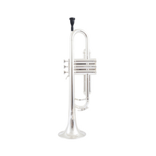 Load image into Gallery viewer, ZO B-flat plastic trumpet (multi-color options)