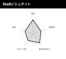 將圖片載入圖庫檢視器 TELL MALLETS "Stadt" Timpani mallets
