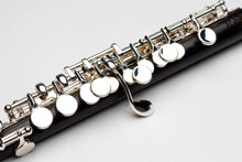 將圖片載入圖庫檢視器 THORE grenadilla wood piccolo

