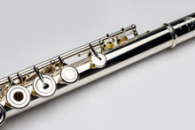 將圖片載入圖庫檢視器 THORE Student-Intermediate Series Flute (silver plated, open hole)
