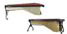 Load image into Gallery viewer, DFTF 5.0 Marimba DFM-AM61-2X (2019 model)

