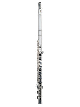 將圖片載入圖庫檢視器 THORE Student-Intermediate Series Alto Flute
