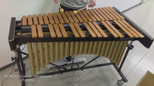 將影片載入圖庫檢視器並播放，Korogi Concert Vibraphone 音樂會顫音琴
