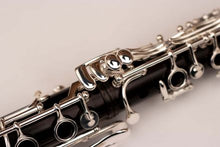 Load image into Gallery viewer, RZ Professional Series ALLEGRO Clarinet
