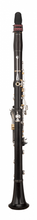 Load image into Gallery viewer, RZ Premium Series CAPRICCIO Clarinet
