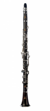 Load image into Gallery viewer, RZ in G Clarinet
