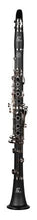 Load image into Gallery viewer, RZ LARGO Student model Bb Clarinet
