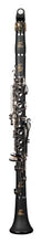 Load image into Gallery viewer, RZ VIVO Student model Bb Clarinet
