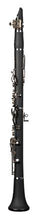 Load image into Gallery viewer, RZ VIVO Student model Bb Clarinet
