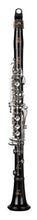Load image into Gallery viewer, RZ Professional Series DOLCE Bb Clarinet
