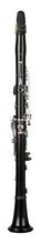 Load image into Gallery viewer, RZ Professional Series DOLCE Bb Clarinet
